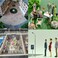 Gdaya 50PCs Tiny People Figures 150 Scale Model Train People Hand Painted Model Trains Architectural O Scale Sitting and Standing Miniatures Figures for Miniature Scenes