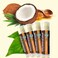 SPF Lip Balm 4Pack by Earths Daughter Stocking Stuffers  Lip Sunscreen SPF 15 Organic Ingredients Coconut Flavor Beeswax Coconut Oil Vitamin E  Hypoallergenic Paraben Free Gluten Free New