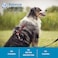 Blue9 BuckleNeck Balance Harness Fully Customizable Fit NoPull Harness Ideal for Dog Training and Obedience Made in The USA Red Small
