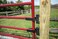 Barrette Outdoor Living 73030625 Self Closing Device Hardware Black