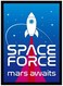 DP Space Force 50