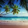 Ellis 5D DIY Diamond Painting KitFull Square Drill Shiny Resin Rhinestone Cross Stitch Paint by Number KitBeach Spray Palm Tree