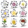 Flower Cookie Cutter Set 9Piece Rose Tulip Lilac Cherry Blossom Plum Blossom Frangipani Daisy Sunflower Bouquet Scalloped Edge Summer Flowers Cookie Cutters Shapes Biscuit Fondant Molds