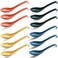 Evanda Soup Spoon ECO Friendly Dinner SpoonMade of Food Grade PP BPA FreeEasy CleanDishwasher Safe Set of 12Mix Color