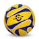 Nivia Trainer 18P Volleyball