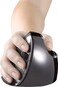 Evoluent VMDLW VerticalMouse D Wireless Mouse Large