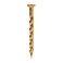 ROBERTS 37114 Brass Screw Nails