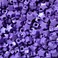 BeadExplosion Star Beads Purple Opaque 13mm Pony Beads Large Hole Made in USA B07872