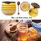 2PCS Bee Lip Balm Honey Pot Honey  Strawberry Propolis Moisturizing Hydrating  Prevention Dry and Cracked Lip Scrubs Exfoliator