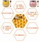 2PCS Bee Lip Balm Honey Pot Honey  Strawberry Propolis Moisturizing Hydrating  Prevention Dry and Cracked Lip Scrubs Exfoliator