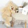 DOLDOA 36 Giant Teddy Bear Soft Stuffed Animals Plush Big Bear Toy for Kids and Girlfriend Beige