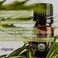 Cliganic Organic Moringa Oil 100 Pure  For Face  Hair  Natural Cold Pressed