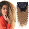 Deep Wave Clip In Hair Extension Human Hair Feeling Double Weft Hairpiece Synthetic For Women Thick Ombre Hair Extension Clips Natural Looking 24 InchT1B27