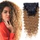 Deep Wave Clip In Hair Extension Human Hair Feeling Double Weft Hairpiece Synthetic For Women Thick Ombre Hair Extension Clips Natural Looking 24 InchT1B27
