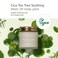 MaryMay Vegan Cica Tea Tree Soothing Wash Off Pack  Natural Centella Clay Mask for Sensitive Skin Relieves Irritation Cleanses Pores and Hydrates 44oz