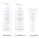 Atomy Absolute Hair Care Set 3pcs  Shampoo Conditioner and Hair Pack