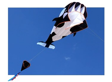 Flying War Whale Giant 3D Frameless Parafoil Kite Outdoor Beach Park Garden Fun  Ready to Fly with Lines