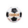 Cosco Unisex Adult Football Premier Multicoloured 5