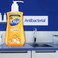 Dial Antibacterial Liquid Hand Soap Gold 75 Ounce