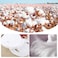 Cayanmydery cotton Facial Mask Paper Spa Skin Care Face Mask Paper Precut Facial Paper Sheet Facial Mask 100 Pcs