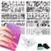 VNC 13pcs Nail Stamp Plates set 8 plate 2Stamper 2Scraper 1storage bag Nails Art Stamping Plate Scraper Stamper Set Leaves Flowerst Travel Patterns Nail plate Template Image Plate