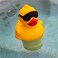 GAME 17201BB Derby Duck Spa Chemical Dispenser Yellow