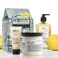 CO Bigelow Apothecary Trio Lemon Hand and Body Care Gift Set of Three 3 Lemon Hand Wash 10fl oz Body Cream 8 oz and Hand Treatment 3oz Gift Box of Moisturizing Hand and Skin Care
