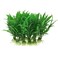 CNZ 10Piece Green Plastic Aquarium Tank Plants Grass Decoration 45 Tall
