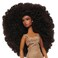 Naturalistas 11inch Fashion Doll Dayna and Accessories Dark Brown Hair Brown Eyes Pretend Play