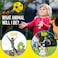 Covelico Kids Dice Game Animal Games Group Activities for Kids Pre School Games Recess Toys for Elementary Outside Indoor Recess Activities  Indoor Recess Games for Classroom Daycare Outdoor Toys