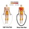 FREEWISE Heavy Jump Rope Skipping Rope Workout Battle Ropes for Men Women Total Body Workouts Power Training Improve Strength Building Muscle