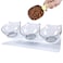 Raised Cat Bowl with Stand Tilted Cat Bowl for Kitten Elevated Cat Bowl Anti Vomiting Plastic Transparent Cat Food Water Bowl