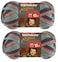 Bernat Softee Chunky Yarn 2Pack Super Bulky 6 Each 28 Ounce 100 Acrylic Shadow