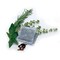 Richards Homewares RIC2003 Moth Away Sachets72 Pack White 6 Sets of 12 Sachets Fresh Mint Scent Generic