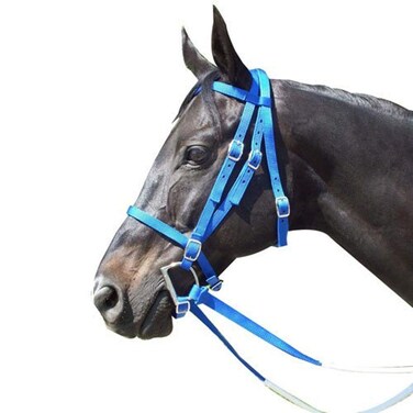 Intrepid International Exselle Horse Bridle  Durable Nylon Racehorse Bridle with Adjustable Rubber Grip Horse Reins Cavesson  Curb Strap Attached  English Bridle Sets for Horses Royal Blue