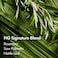 BONDIBOOST HG Conditioner 1014 fl oz  Promotes Healthy Scalp  Follicles  Reduce Split Ends  Gain Thicker  Fuller  Healthier Hair for Women  Men  Vegan  CrueltyFree  Australian Made
