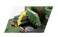 COBI 3039 World of Tanks KV2 Heavy Tank 595 Building Bricks