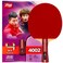 DHS Table Tennis Racket 4002 Ping Pong Paddle Table Tennis Racquets  Shakehand with LANDSON Rubber Protector