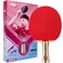 DHS Table Tennis Racket 4002 Ping Pong Paddle Table Tennis Racquets  Shakehand with LANDSON Rubber Protector