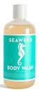 Swedish Dream Organic SEAWEED Body Wash  No Sulfates Parabens or Silicones  Vegan  Cruelty Free  12 fl oz 355 ml