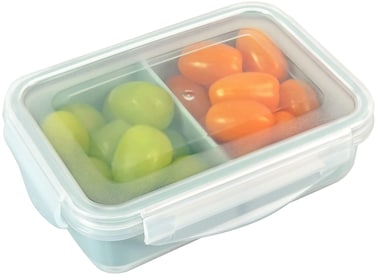 carrotez Food Storage Containers with 2 Removable Compartments Snack Containers with Airtight Lids Portion Control BPA Free Reusable 2 Cup 480ml