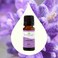 Plant Therapy Lavender Essential Oil 100 Pure Undiluted Natural Aromatherapy Therapeutic Grade 100 mL 33 oz