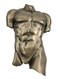 Veronese Design Bronze Finish Nude Male Torso Wall Hanging Figure Anatomy
