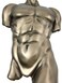 Veronese Design Bronze Finish Nude Male Torso Wall Hanging Figure Anatomy