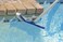 Poolmaster 20160 HeavyDuty Vinyl Liner Swimming Brush with Rubber Bumper for Above or In Ground Pools 18Inches Multi