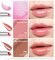 Heart Percent Dote On Mood Dewy Melting Lipstick HighShine Glow  Wet Look Glossy Finish Lip Color 04 Rosy Fig