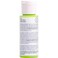 Martha Stewart Crafts Family Friendly MultiSurface Satin Acrylic Craft Paint 2 oz GREEN APPLE