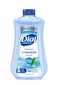 Dial Complete Antibacterial Foaming Hand Soap Refill Spring Water 32 Fl Oz