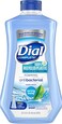 Dial Complete Antibacterial Foaming Hand Soap Refill Spring Water 32 Fl Oz