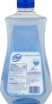 Dial Complete Antibacterial Foaming Hand Soap Refill Spring Water 32 Fl Oz